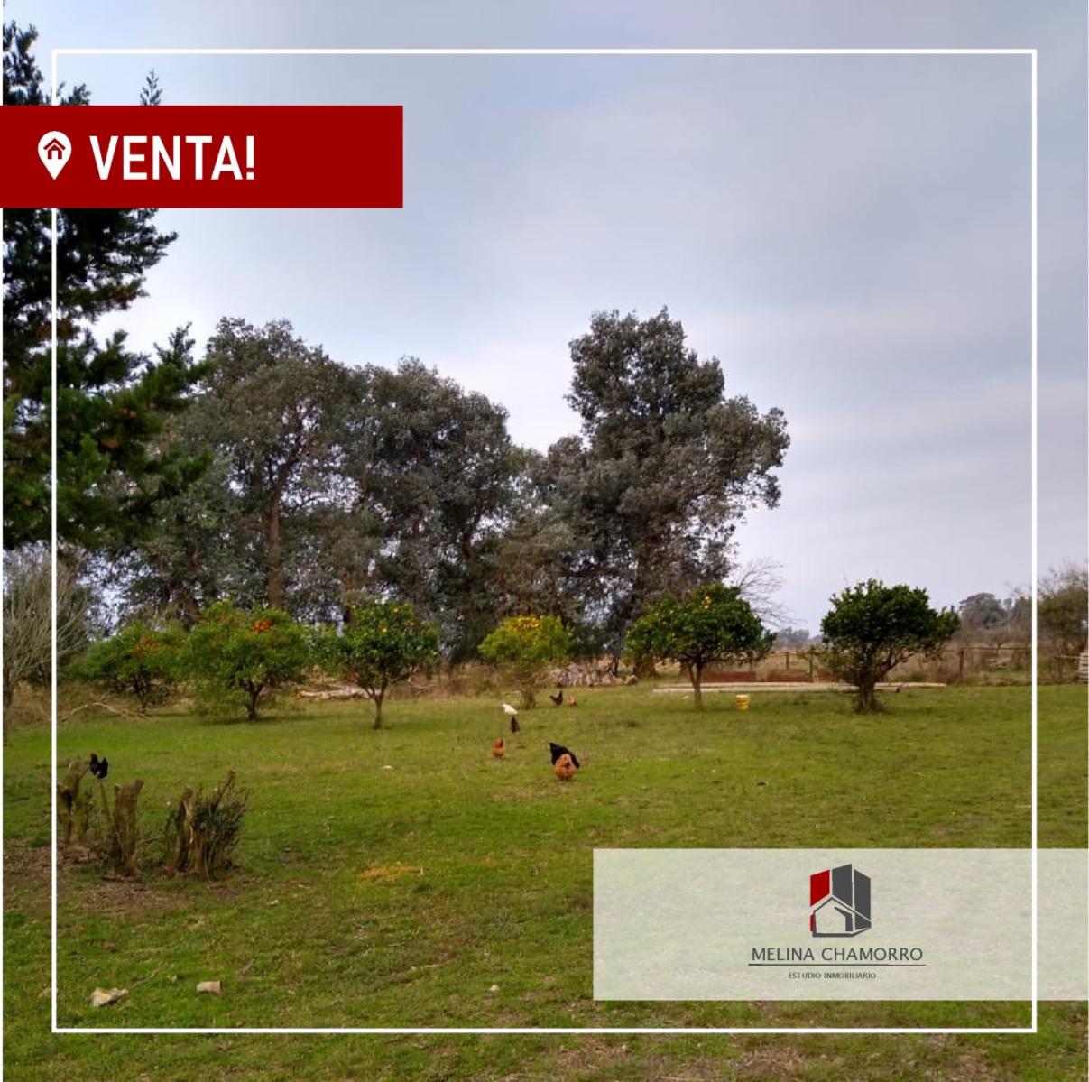VENTA DE 17 HECTAREAS CON CASCO EN LA ZONA DE FLORENCIO VARELA