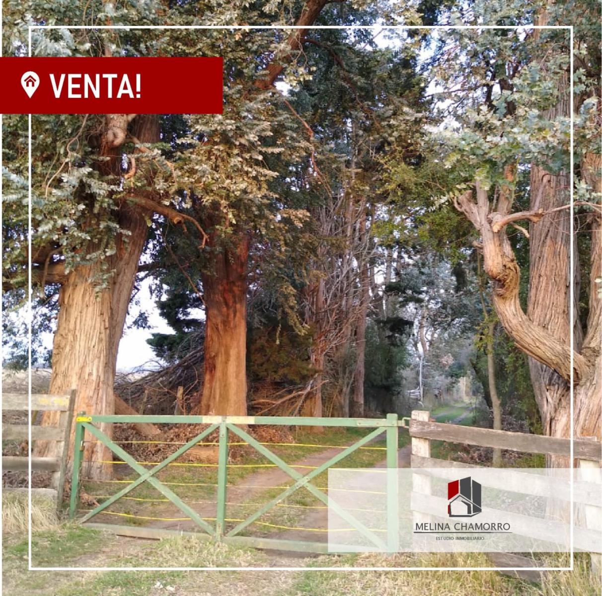 CALLE 1566 · Florencio Varela — foto 3