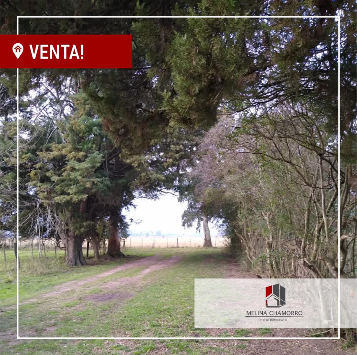 CALLE 1566 · Florencio Varela — foto 5