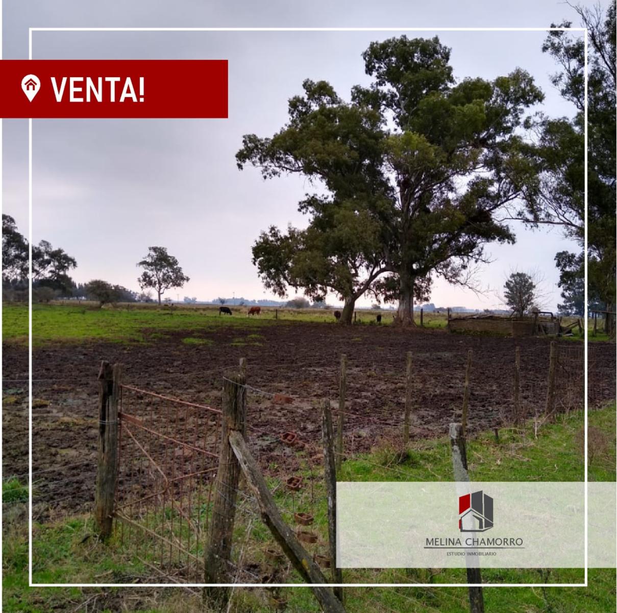 CALLE 1566 · Florencio Varela — foto 6