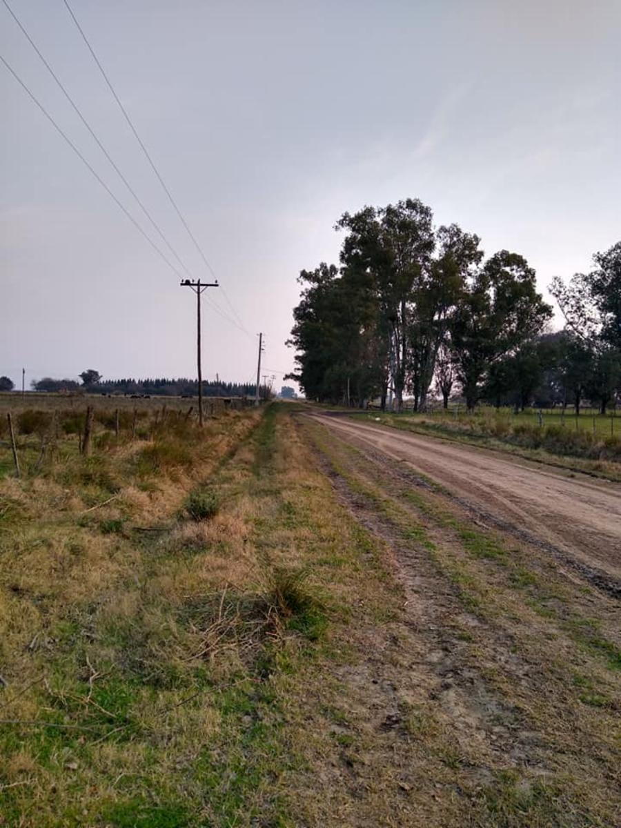 CALLE 1566 · Florencio Varela — foto 10