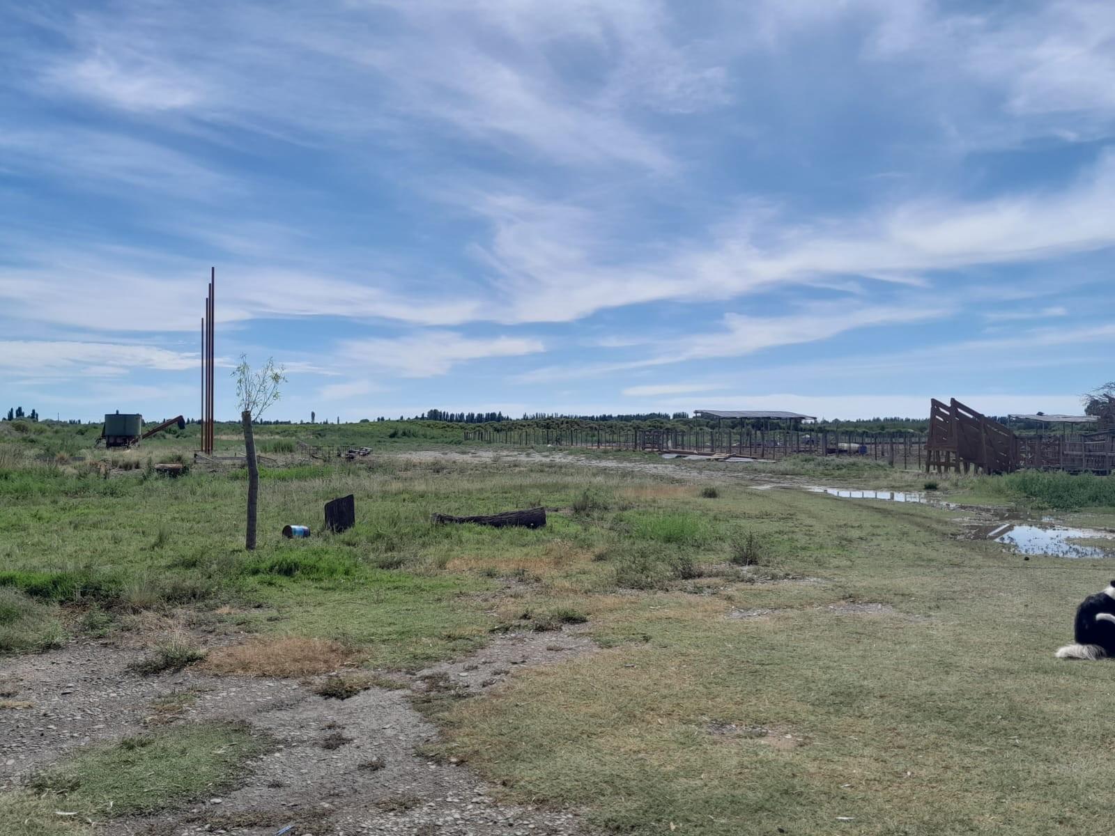 seccion Chacras Luis Beltran · Avellaneda — foto 6