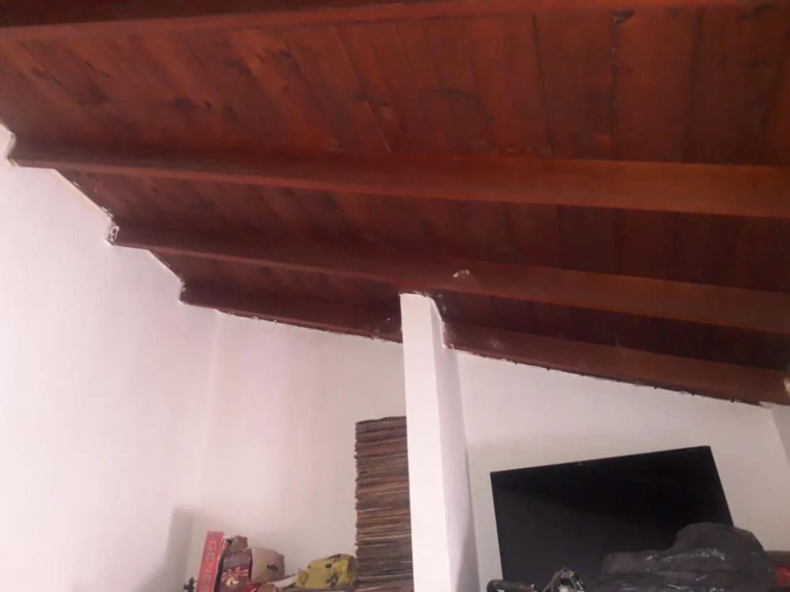 Asunción 1700 · Tigre — foto 7