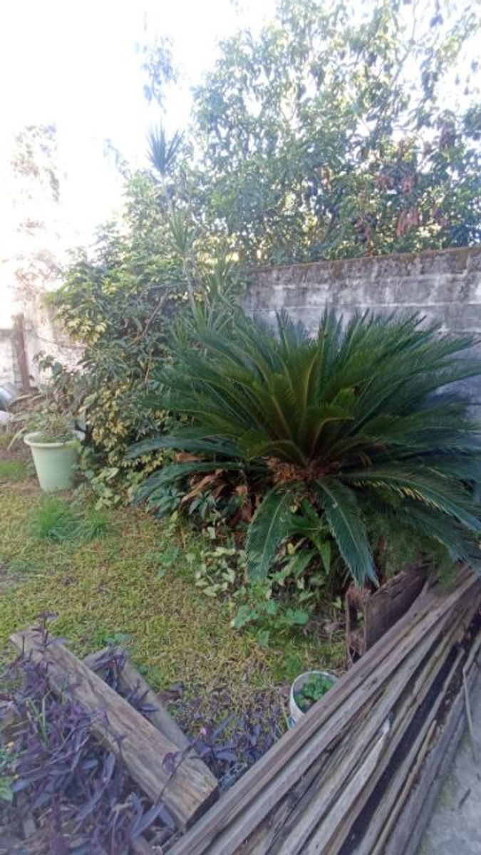 Tres Arroyos 968 · Morón — foto 55