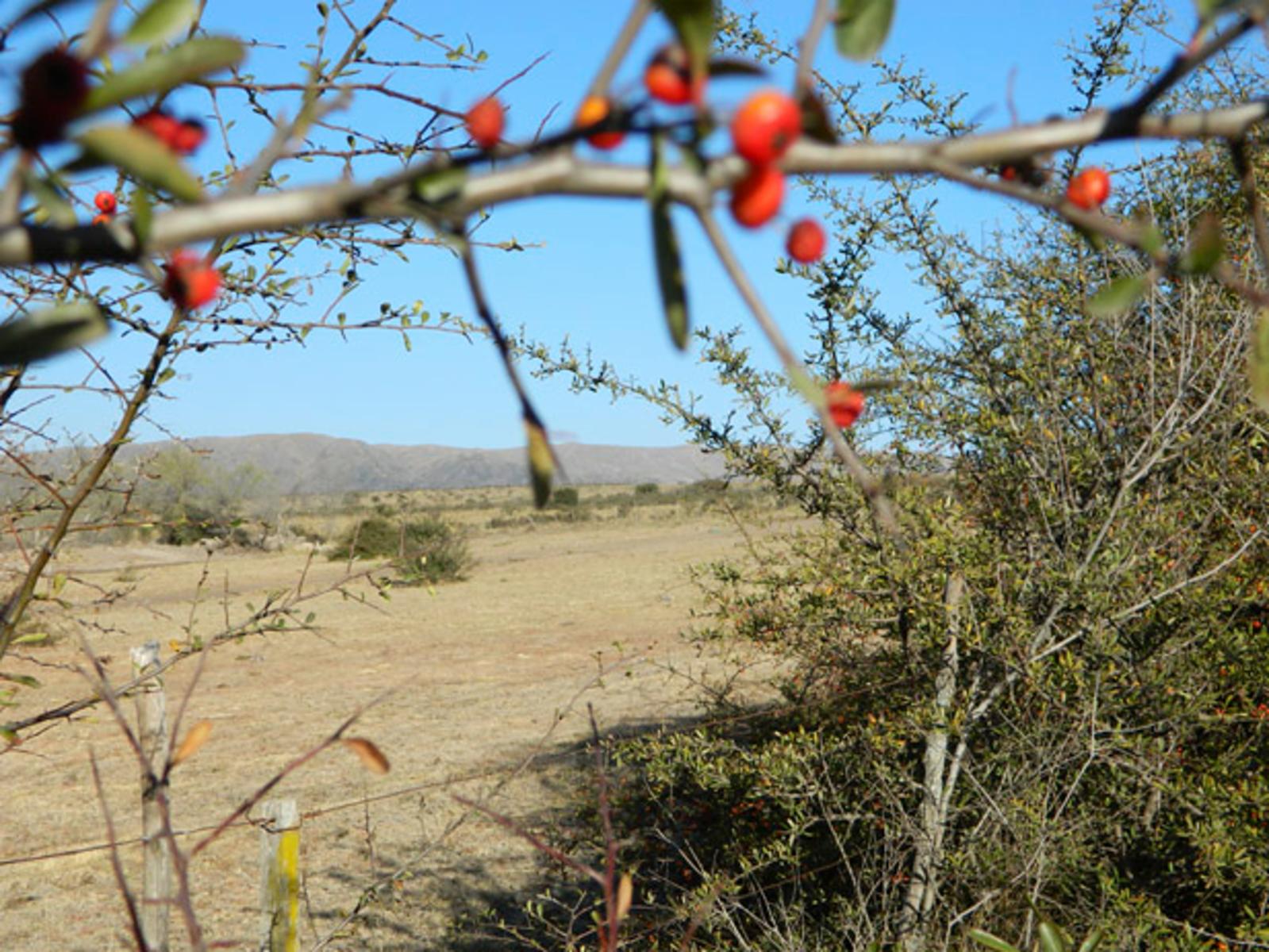 SOBRE RUTA. LA CUMBRE · Punilla — foto 13
