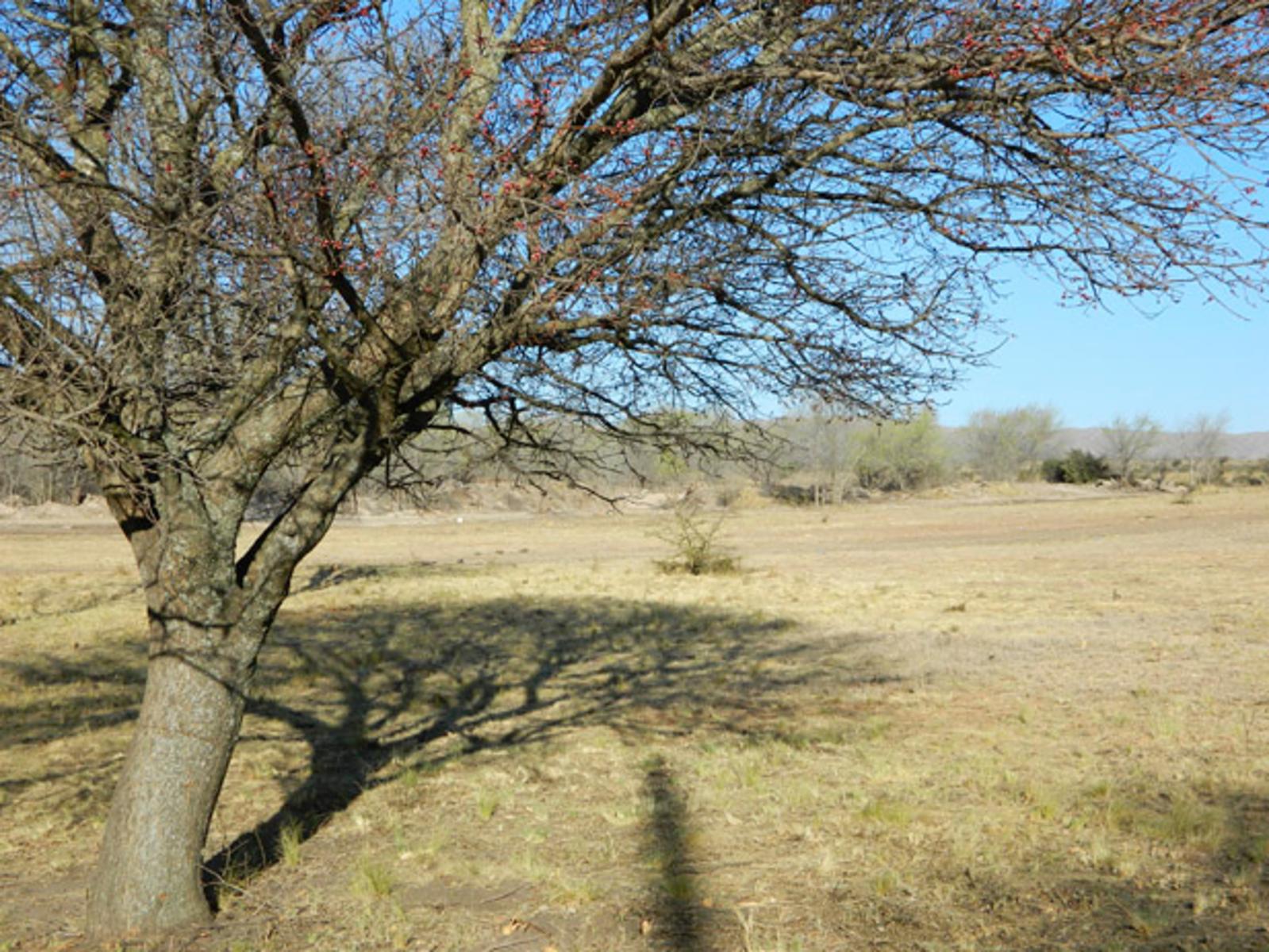 SOBRE RUTA. LA CUMBRE · Punilla — foto 14