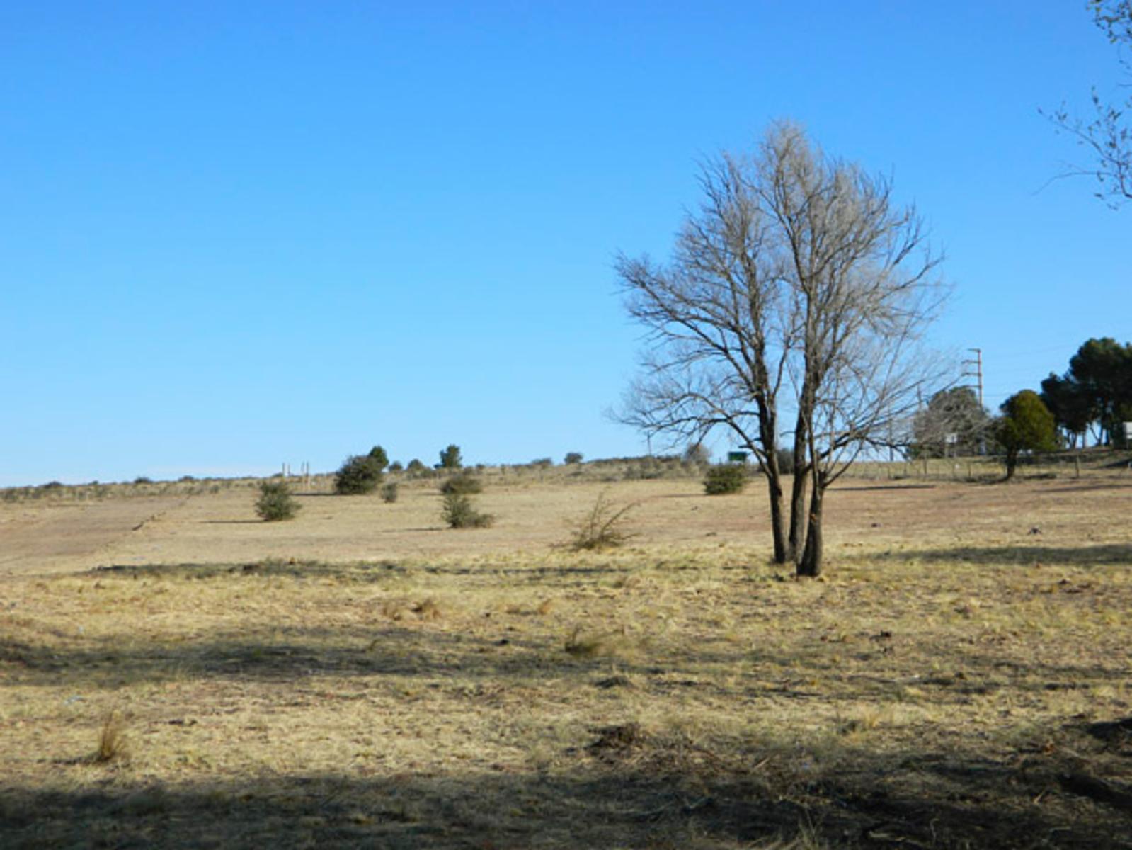 SOBRE RUTA. LA CUMBRE · Punilla — foto 5