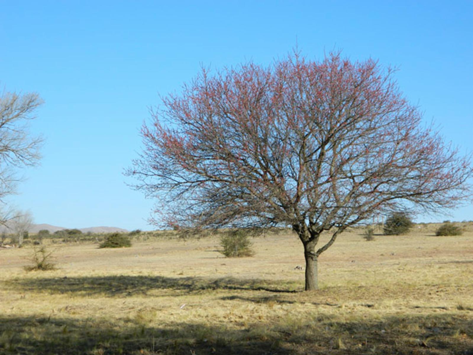 SOBRE RUTA. LA CUMBRE · Punilla — foto 8