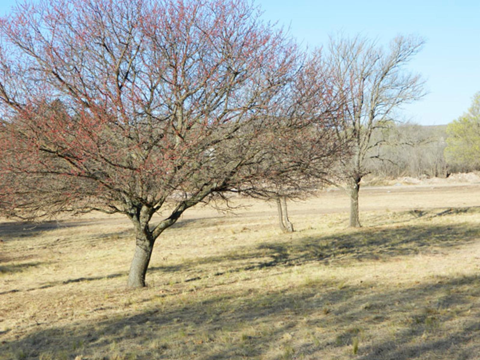 SOBRE RUTA. LA CUMBRE · Punilla — foto 9