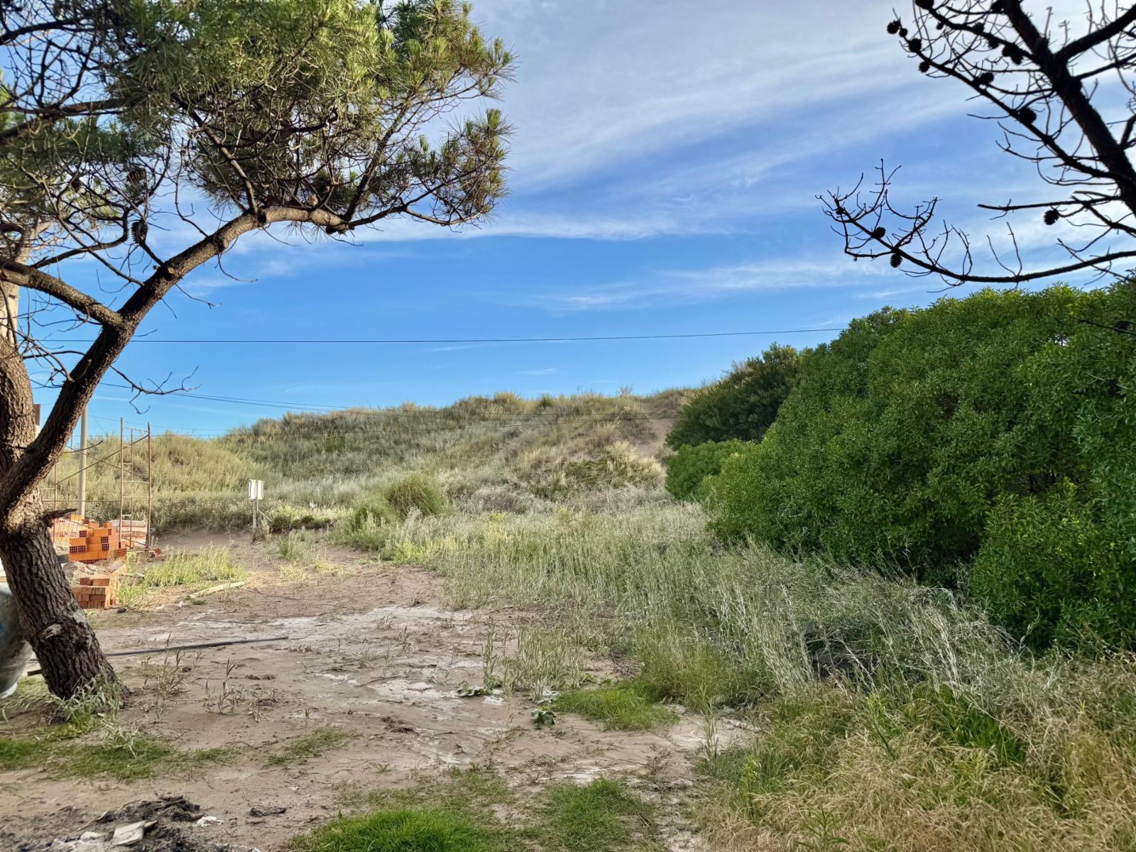 Costanera entre Soldani y del Dientudo · Monte Hermoso — foto 5