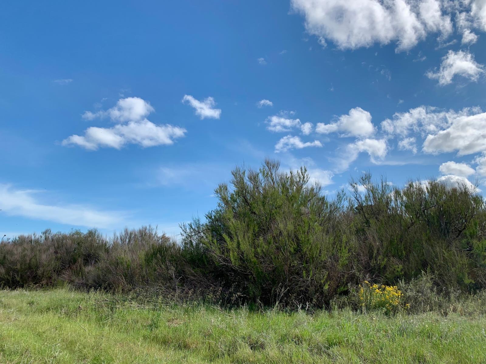 Los Zorzales y Flamencos · Monte Hermoso — foto 11