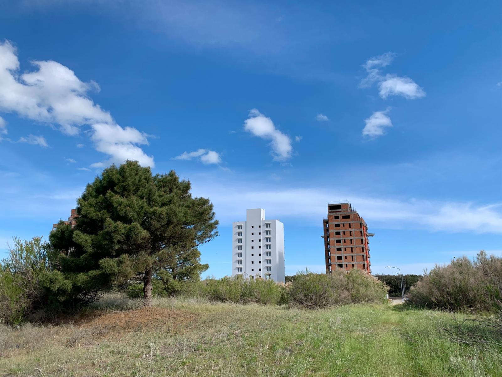 Los Zorzales y Flamencos · Monte Hermoso — foto 12