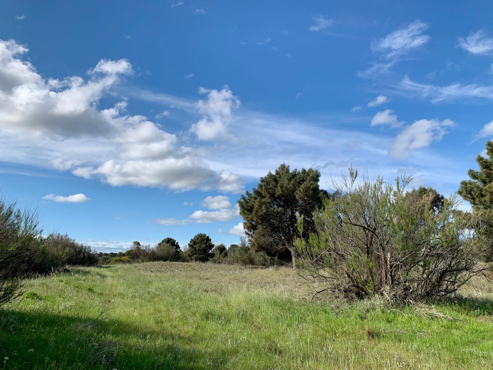 Los Zorzales y Flamencos · Monte Hermoso — foto 13