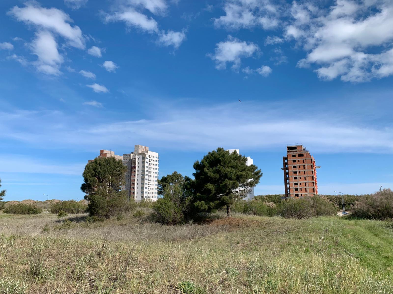 Los Zorzales y Flamencos · Monte Hermoso — foto 5