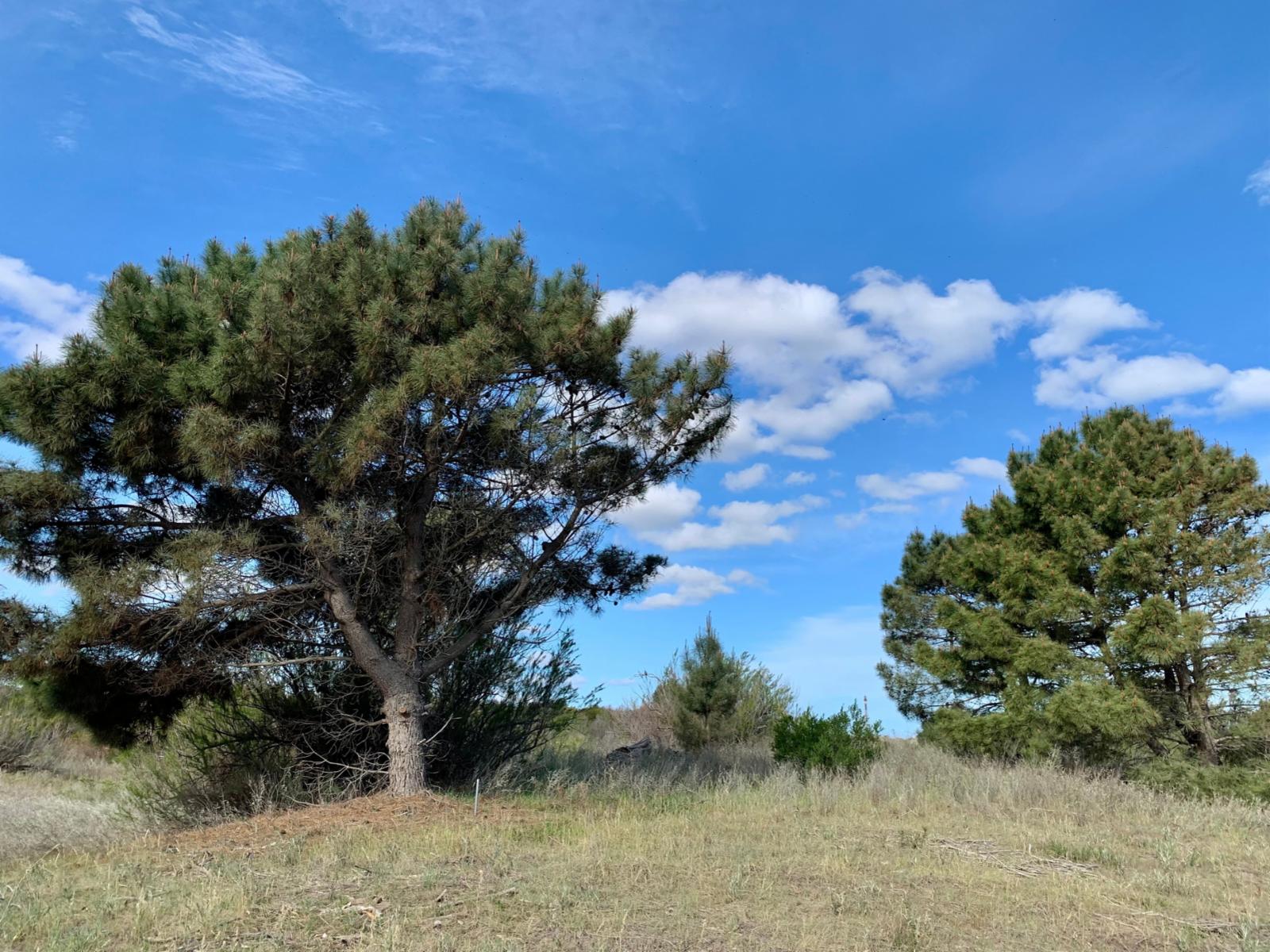 Los Zorzales y Flamencos · Monte Hermoso — foto 7