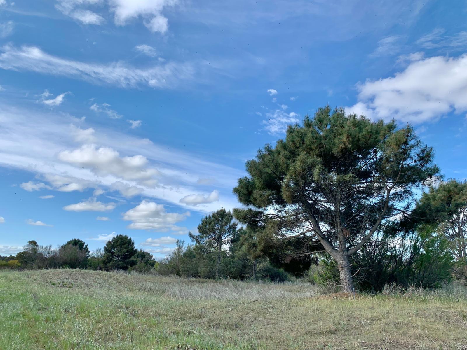 Los Zorzales y Flamencos · Monte Hermoso — foto 10