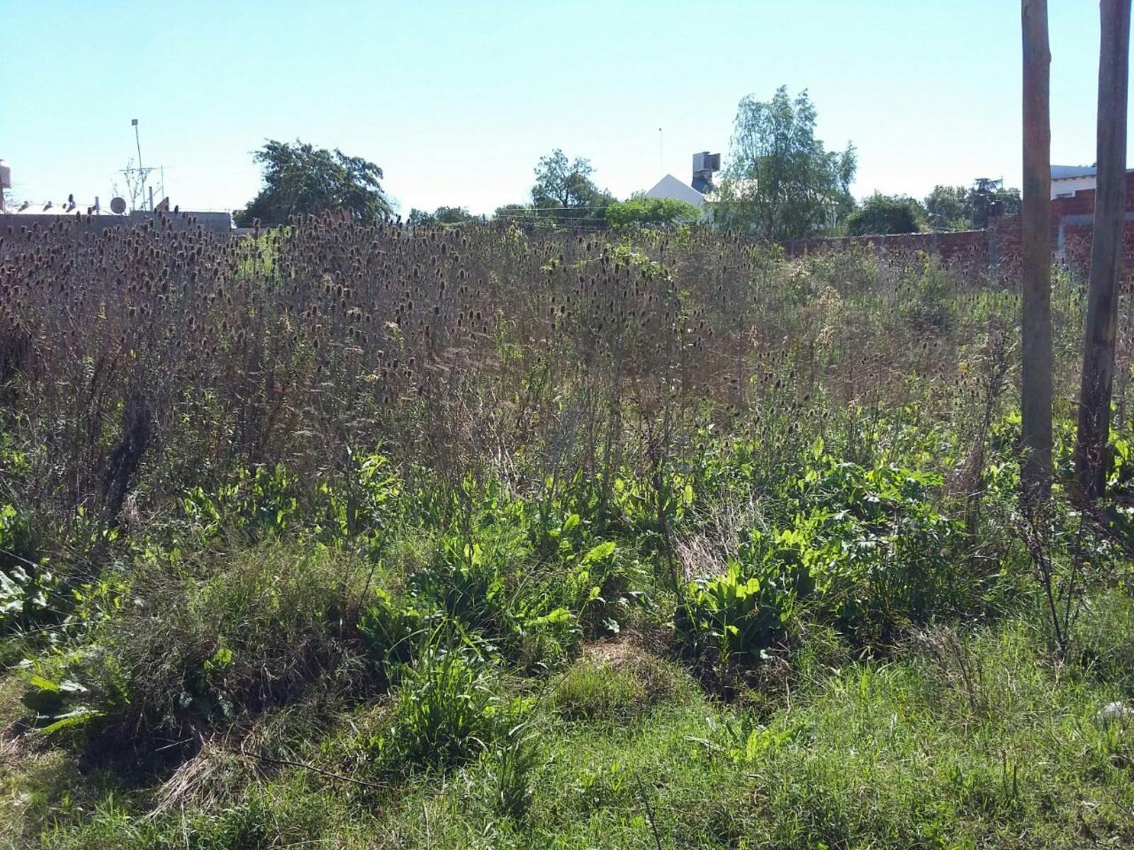Copernico · Moreno — foto 5