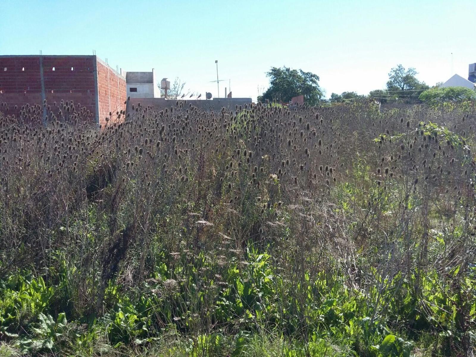 Copernico · Moreno — foto 6