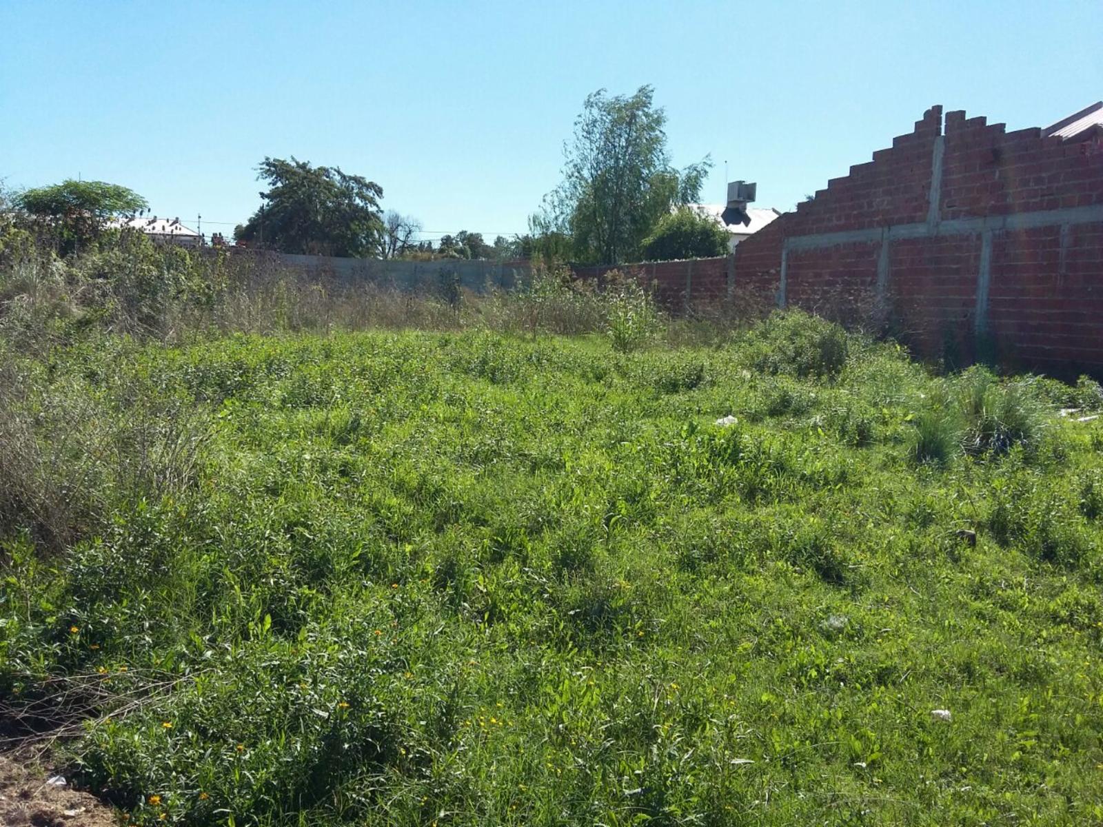 Copernico · Moreno — foto 8