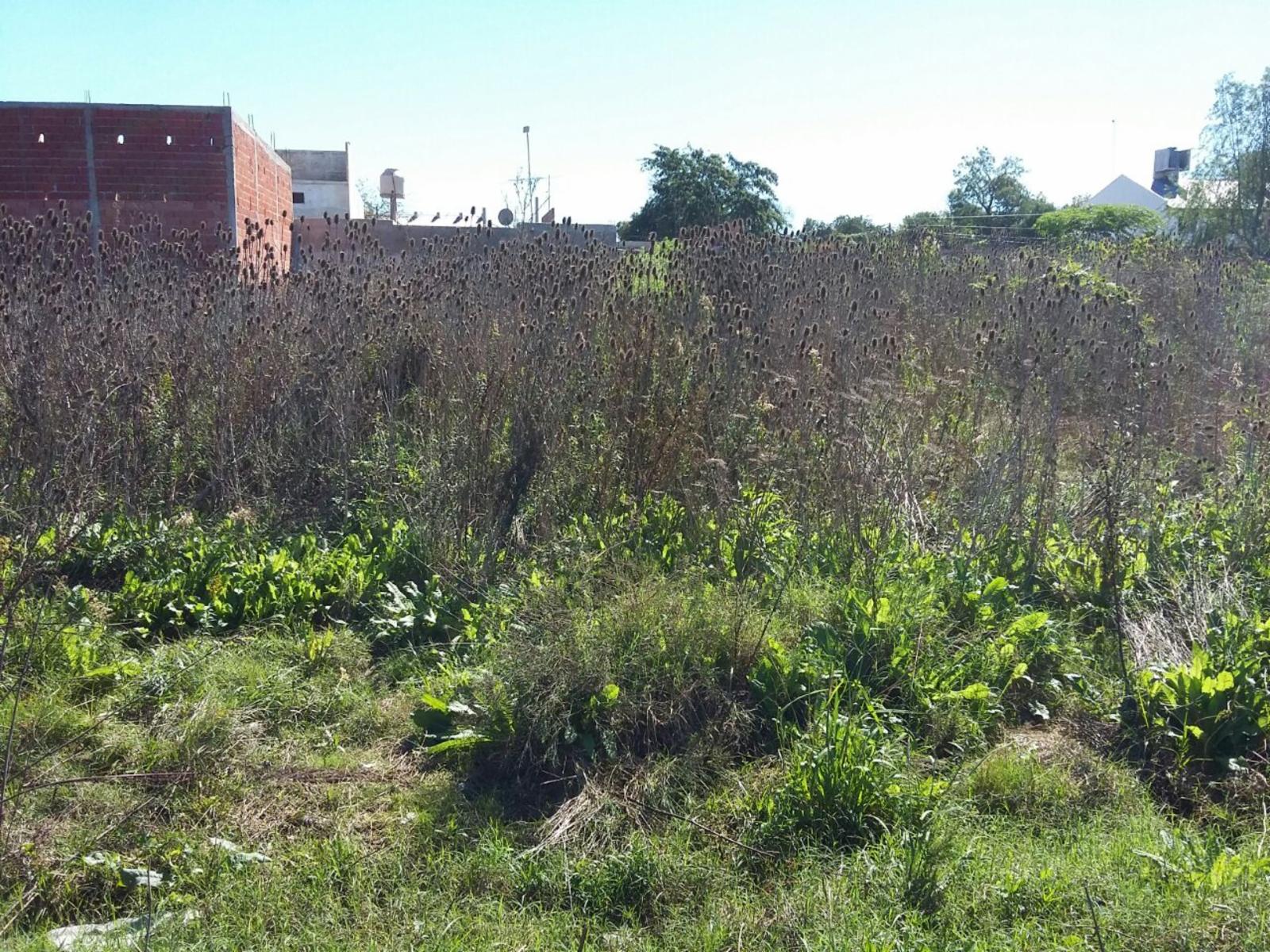 Copernico · Moreno — foto 10