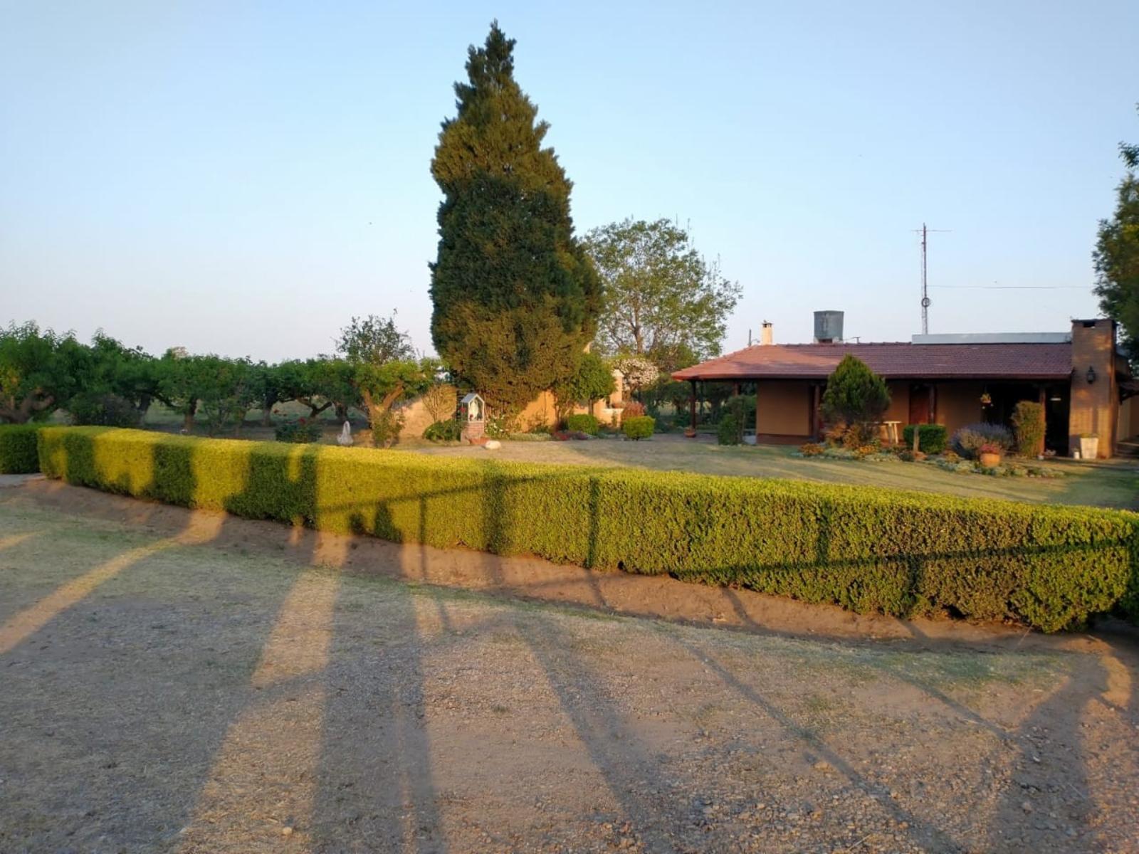 VENTA / 8 HECTÁREAS 3.333 m2, Colonia Caroya.