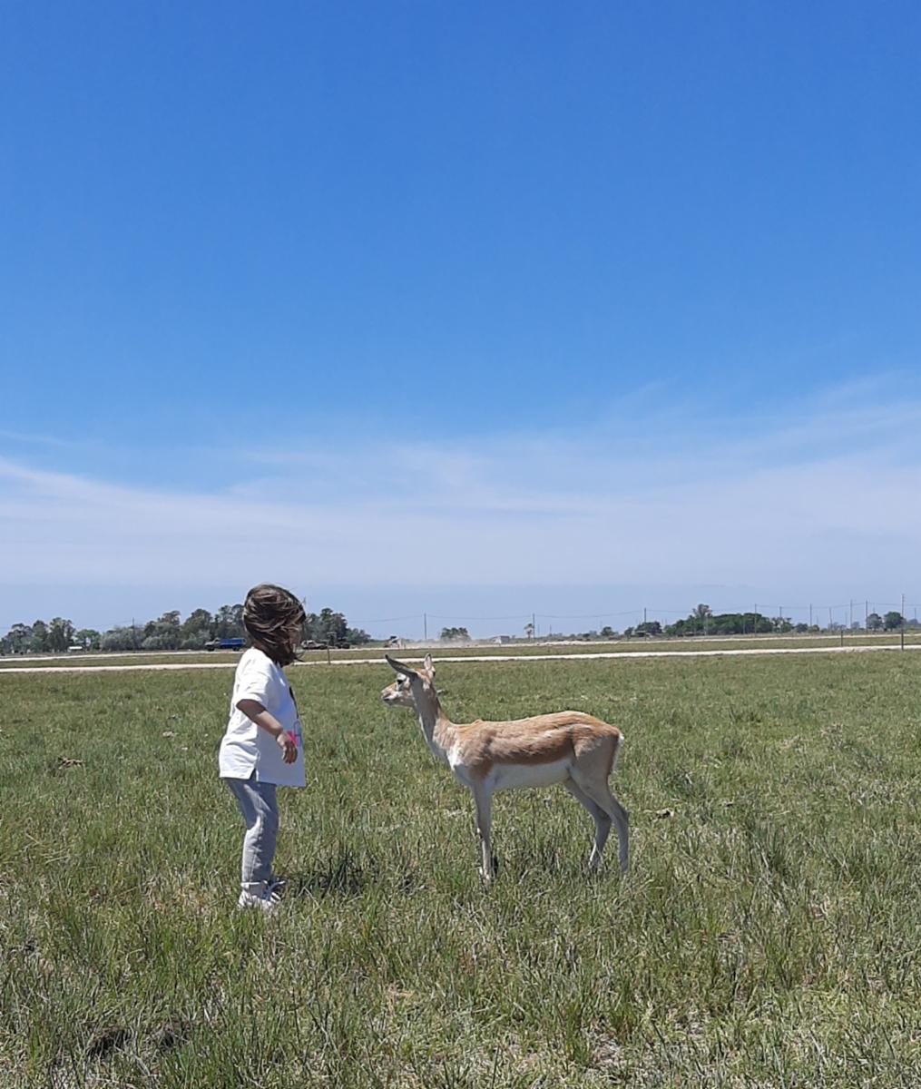 RUTA PROVINCIAL 16 · San Vicente — foto 4