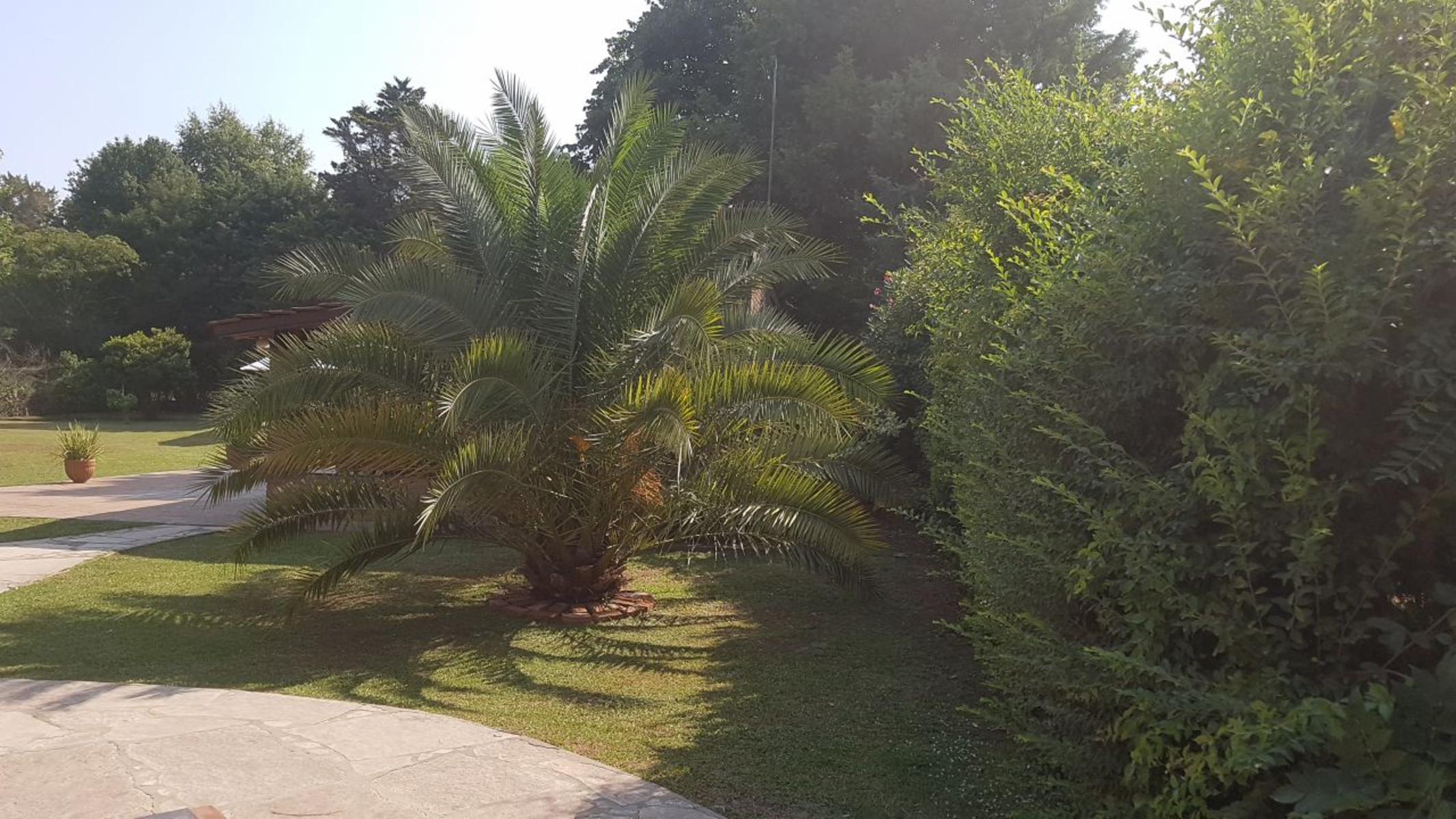 PALENQUE · Exaltacion De La Cruz — foto 16