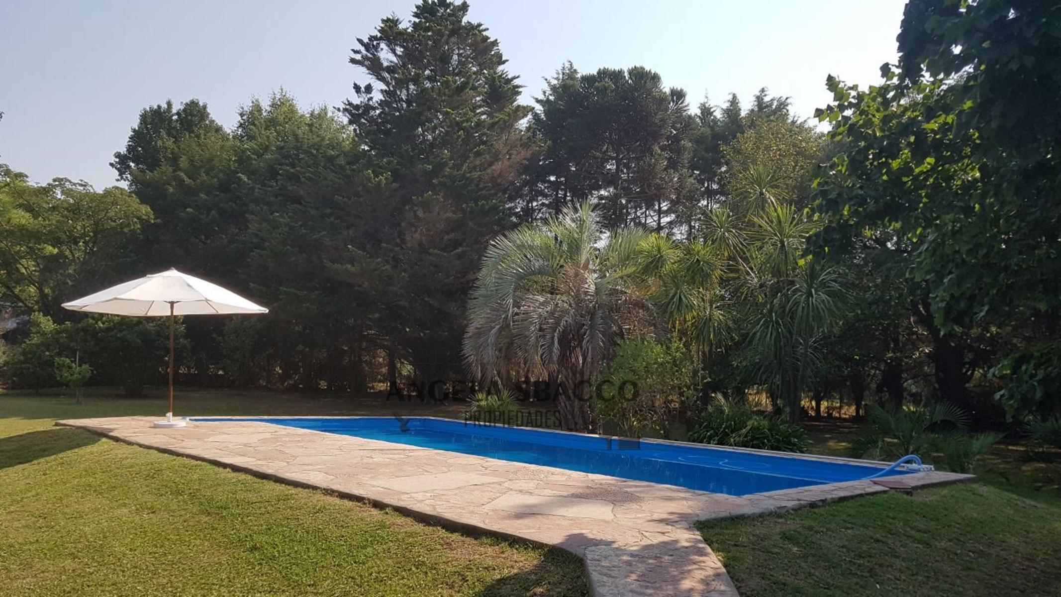 PALENQUE · Exaltacion De La Cruz — foto 18