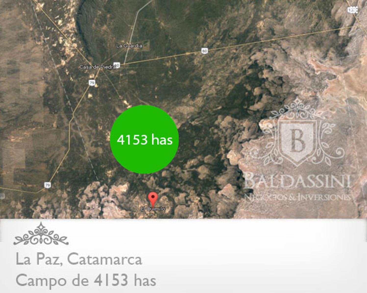 CAMPO DE 4153 HAS EN DEPARTAMENTO LA PAZ, CATAMARCA, SOBRE RUTA PROVINCIAL Nº 8