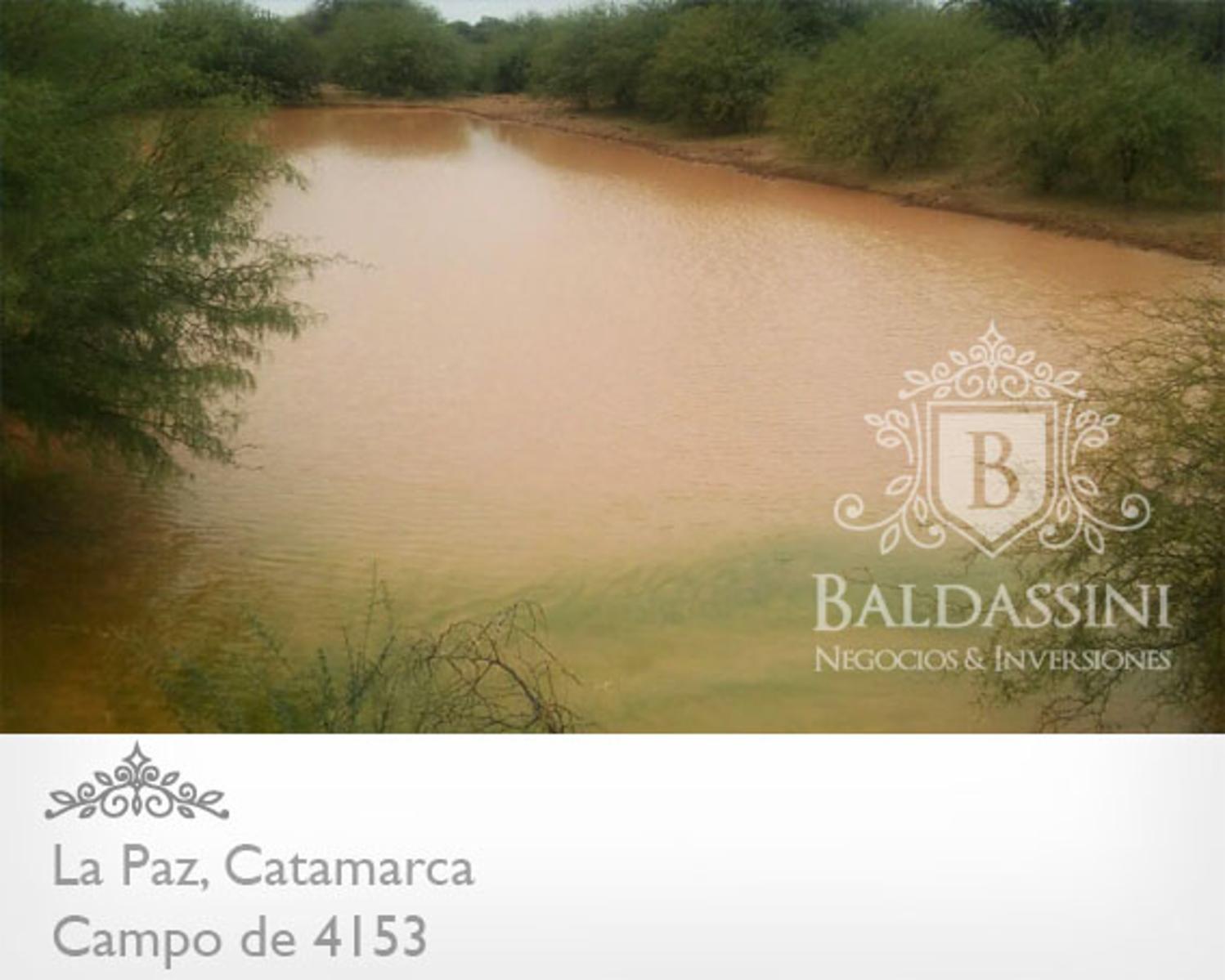 4153 HAS SOBRE RUTA 8 EN LA PAZ - CATAMARCA · La Paz — foto 3