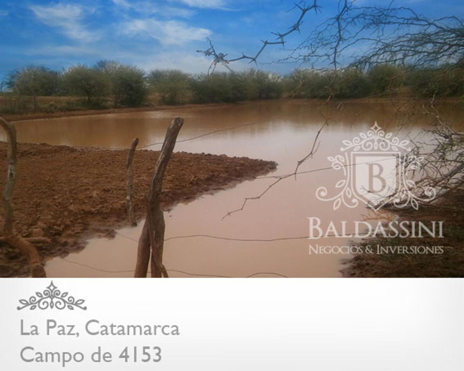4153 HAS SOBRE RUTA 8 EN LA PAZ - CATAMARCA · La Paz — foto 4