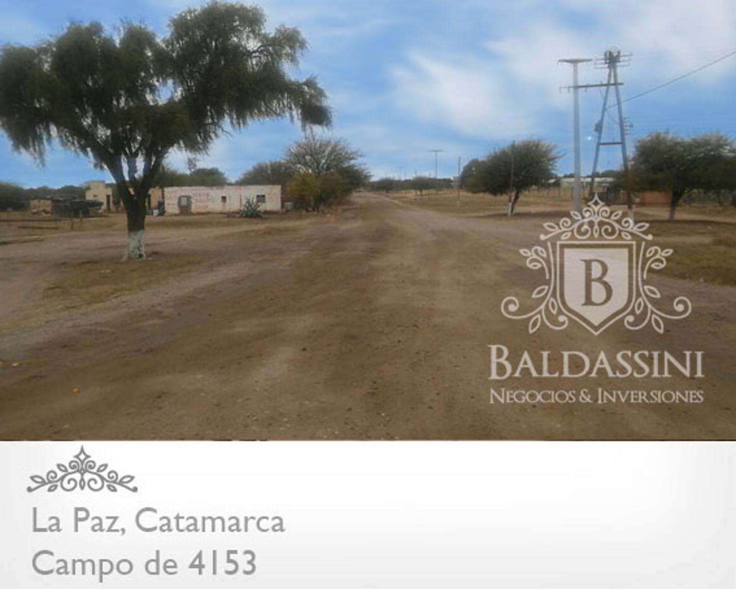 4153 HAS SOBRE RUTA 8 EN LA PAZ - CATAMARCA · La Paz — foto 5