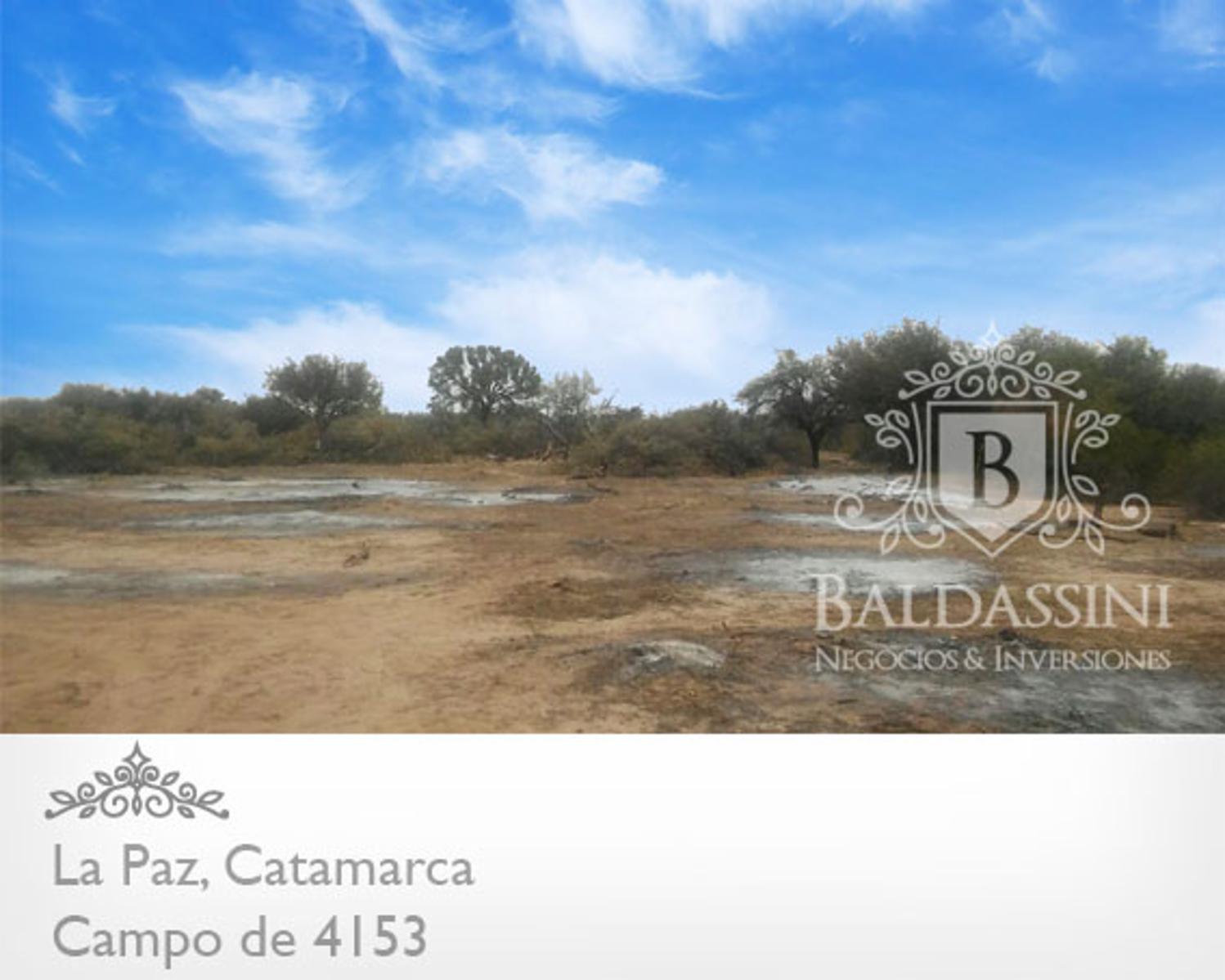 4153 HAS SOBRE RUTA 8 EN LA PAZ - CATAMARCA · La Paz — foto 6