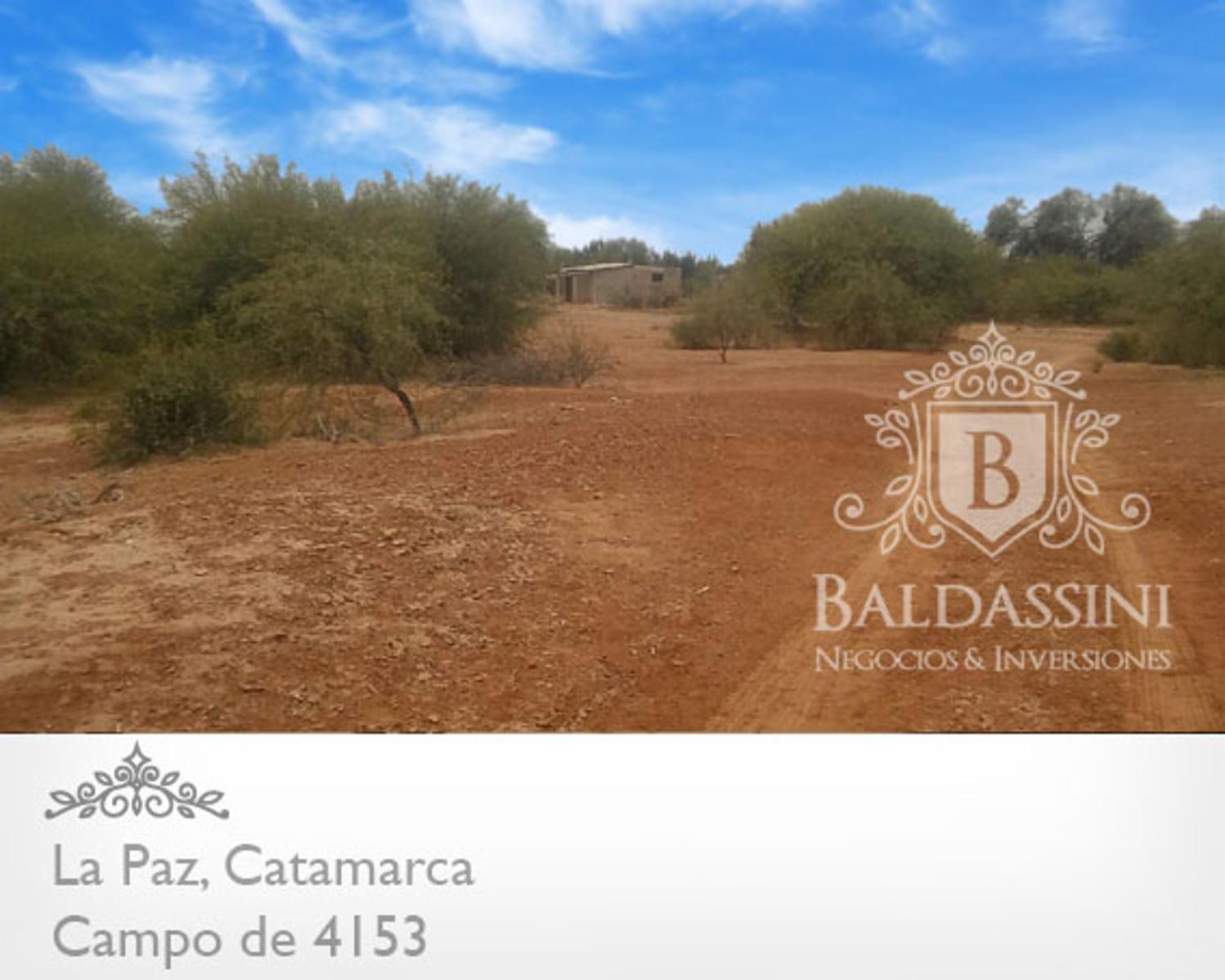 4153 HAS SOBRE RUTA 8 EN LA PAZ - CATAMARCA · La Paz — foto 7
