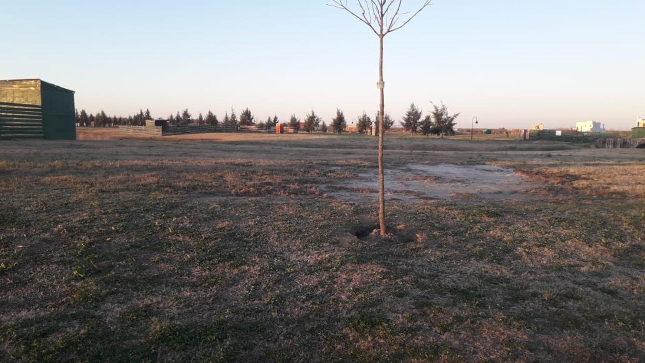 Ruta 25 10500 · Escobar — foto 3