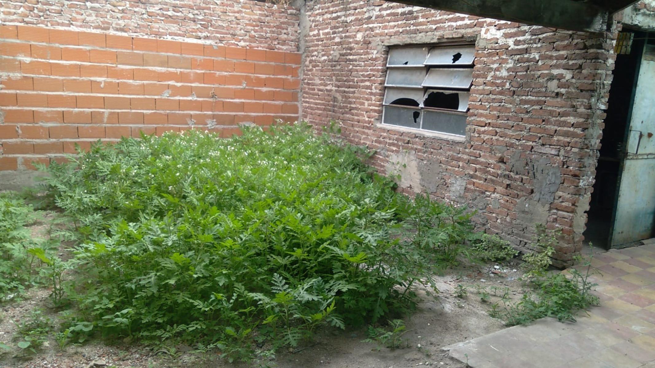 Mar del Plata 4972 · San Martín — foto 6