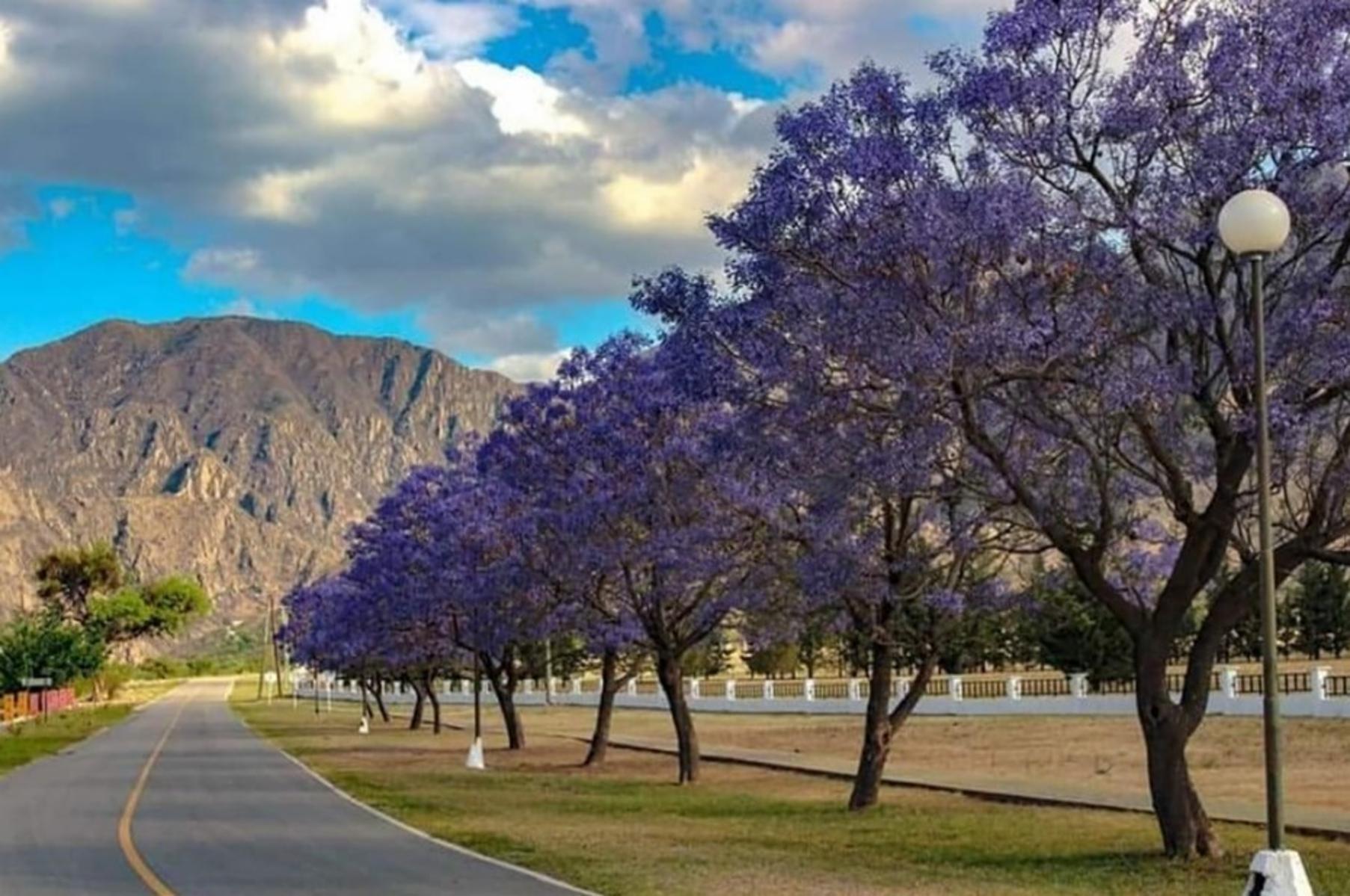 LAS HERAS · Ayacucho — foto 12