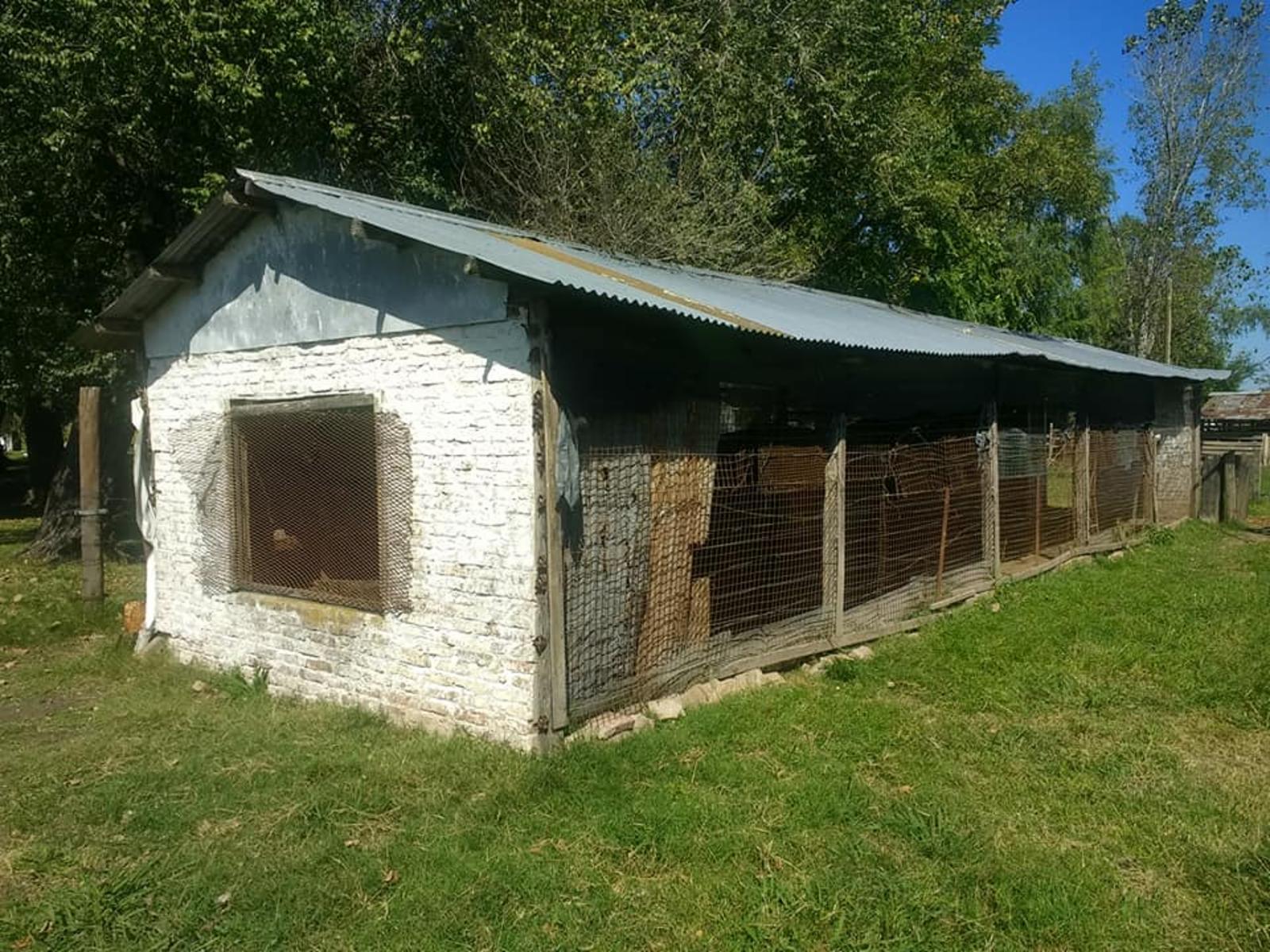 CALLE TIERRA JOVEN · Florencio Varela — foto 11