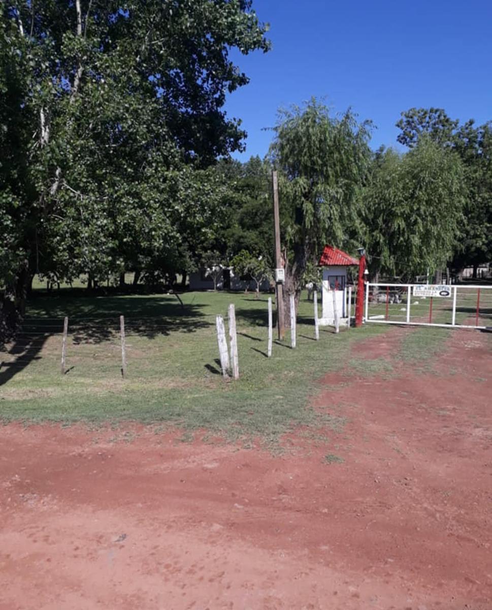 CALLE TIERRA JOVEN · Florencio Varela — foto 4