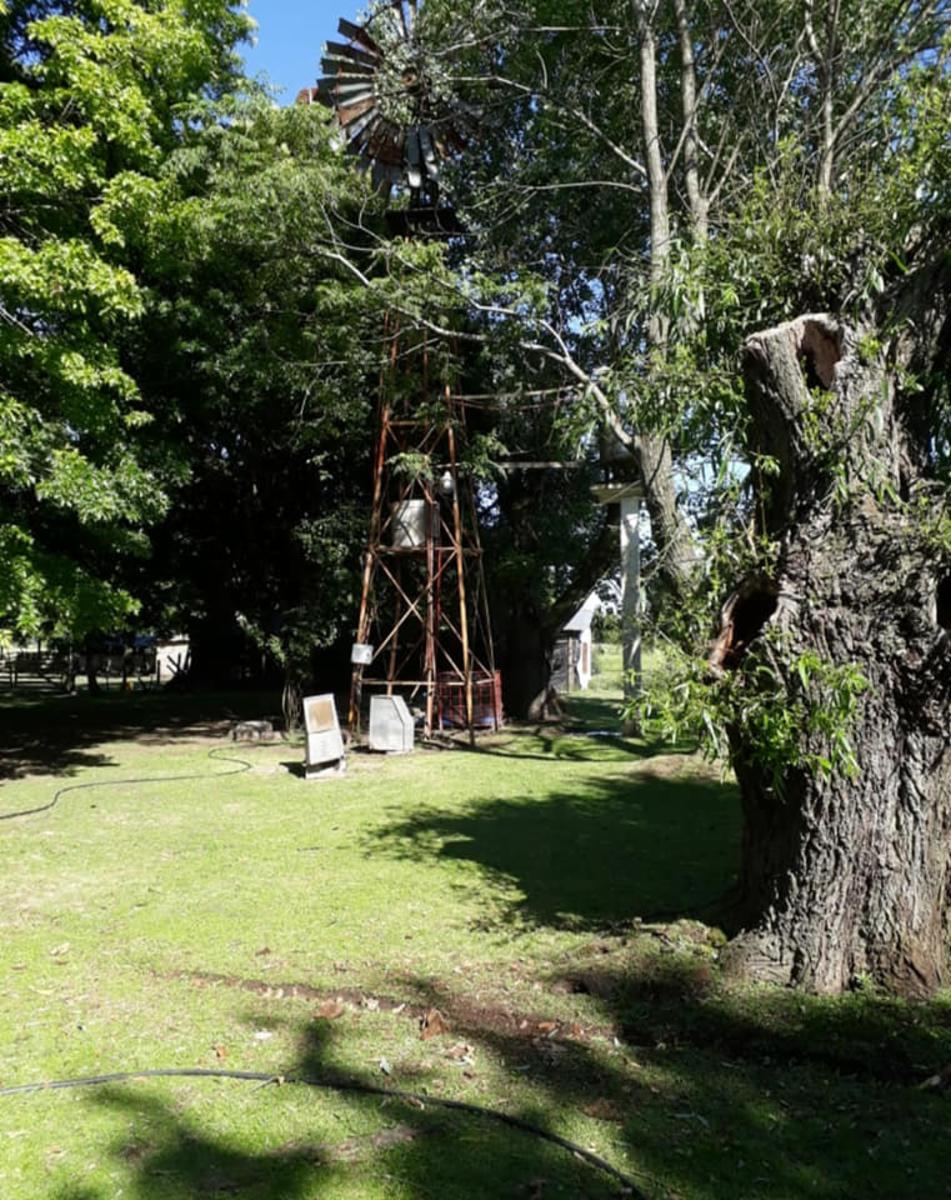 CALLE TIERRA JOVEN · Florencio Varela — foto 8