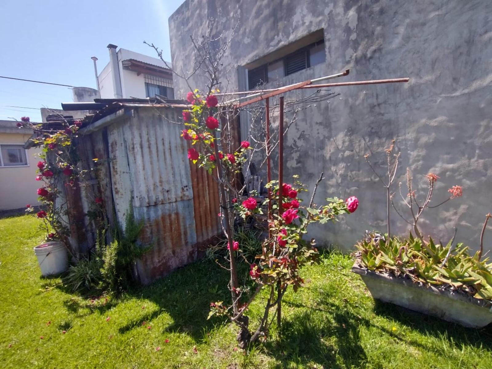 O´HIGGINS 246 · San Martín — foto 28
