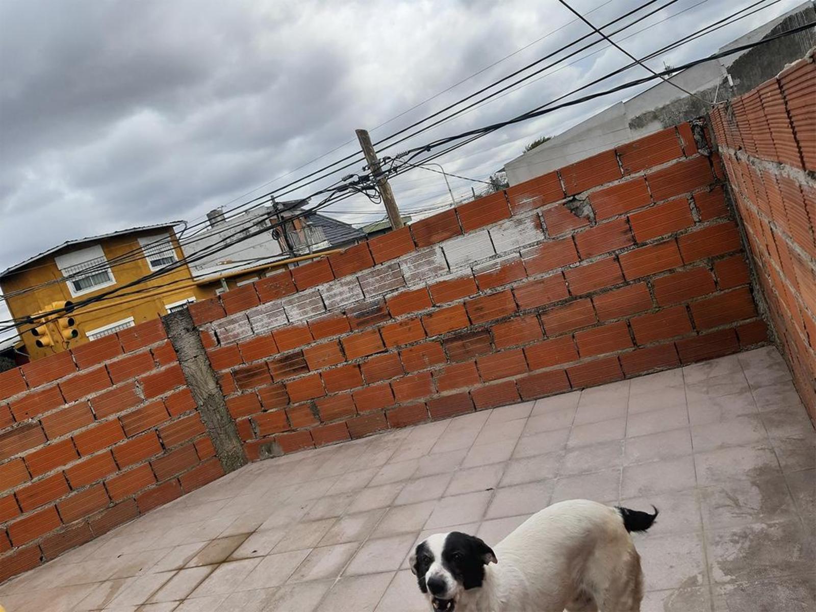 Cnel Pagola 503 · La Matanza — foto 26
