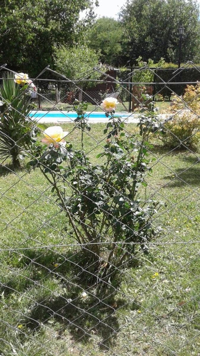 COMUNA SAN ROQUE · Punilla — foto 15