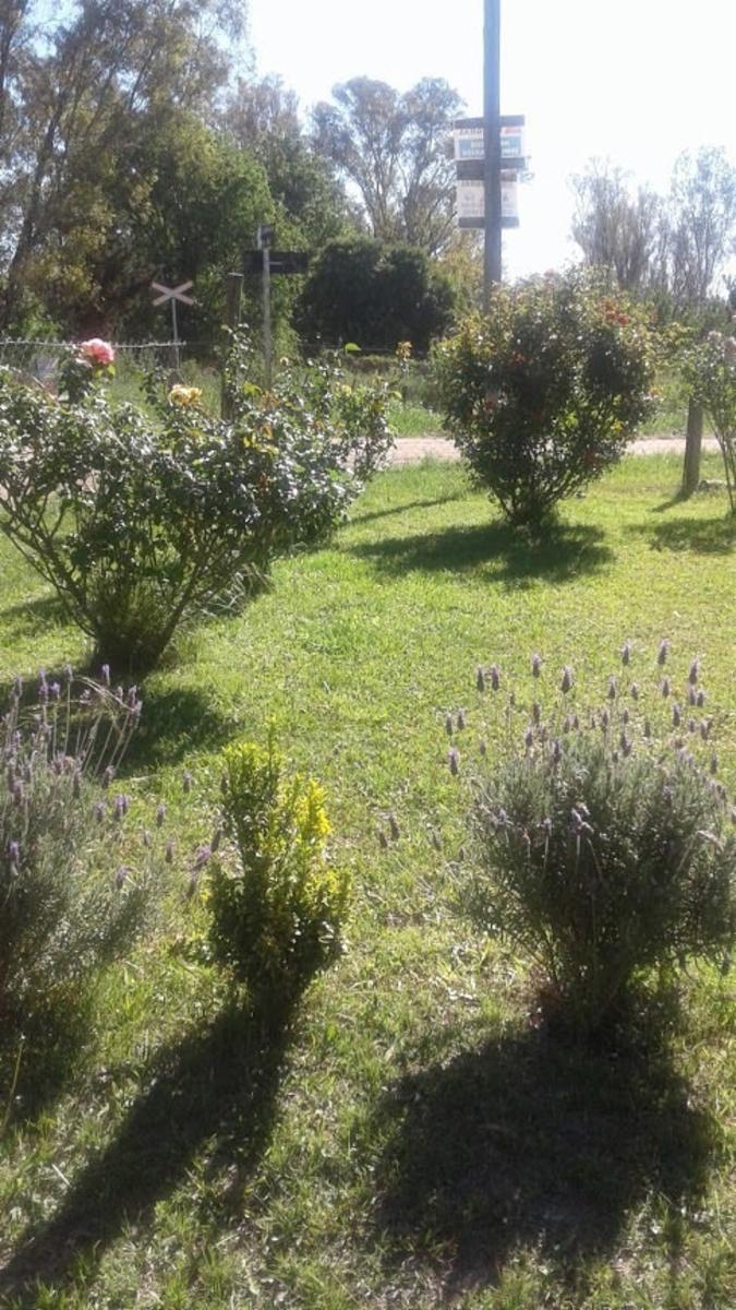 COMUNA SAN ROQUE · Punilla — foto 18