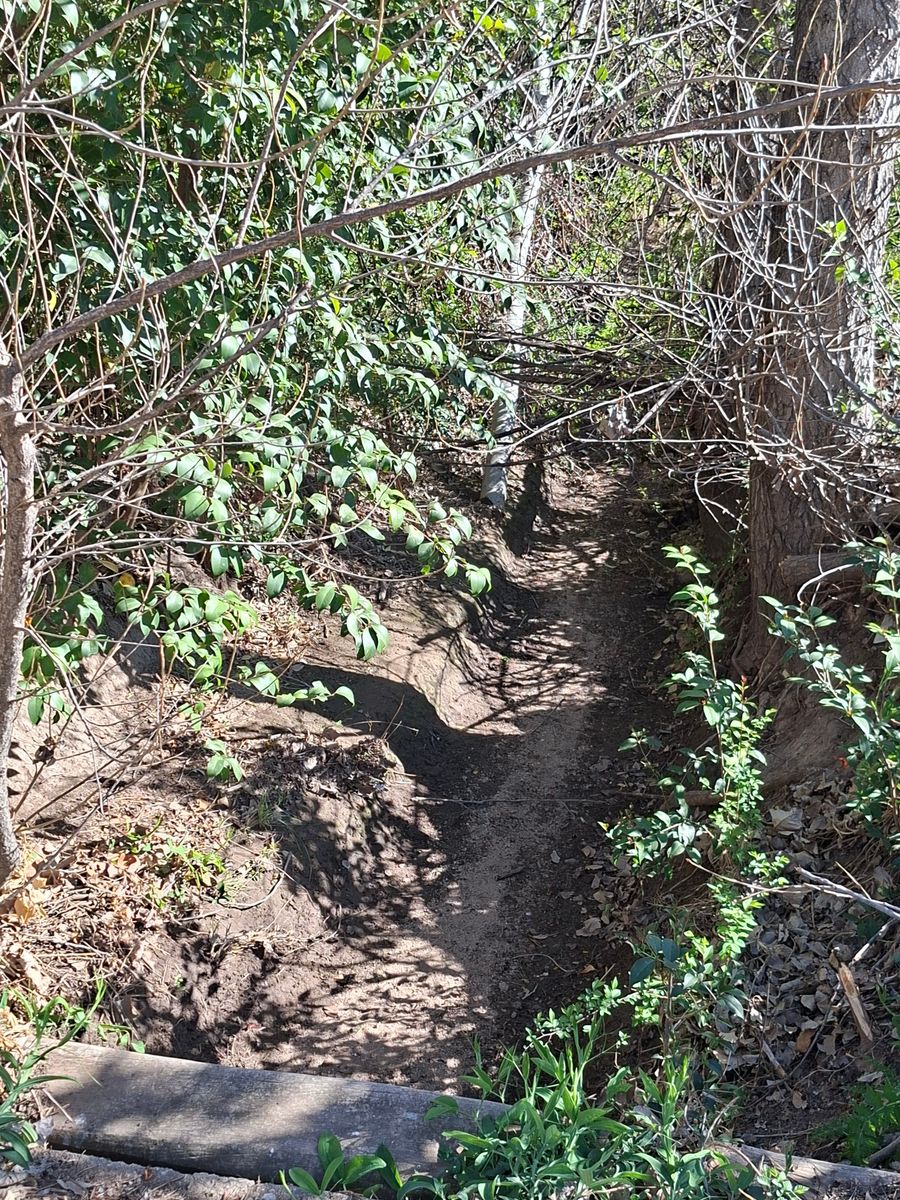 Ruta 8 · Chacabuco — foto 3