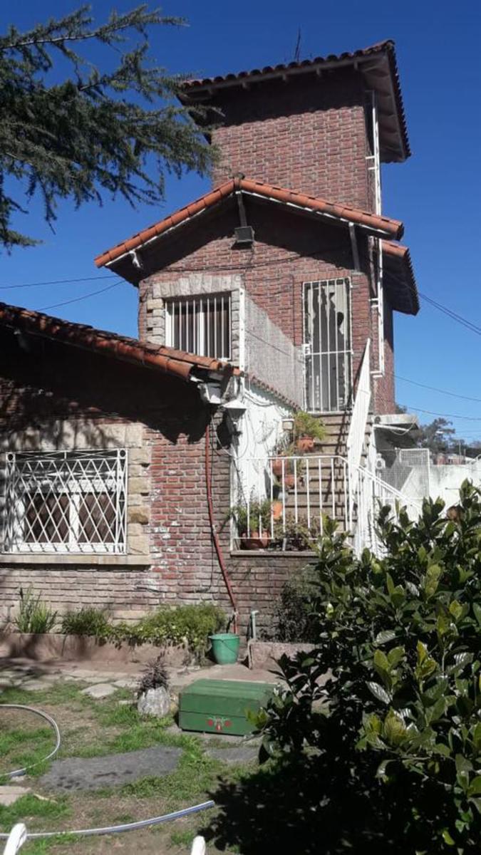 Bolivia 532 · Tigre — foto 12