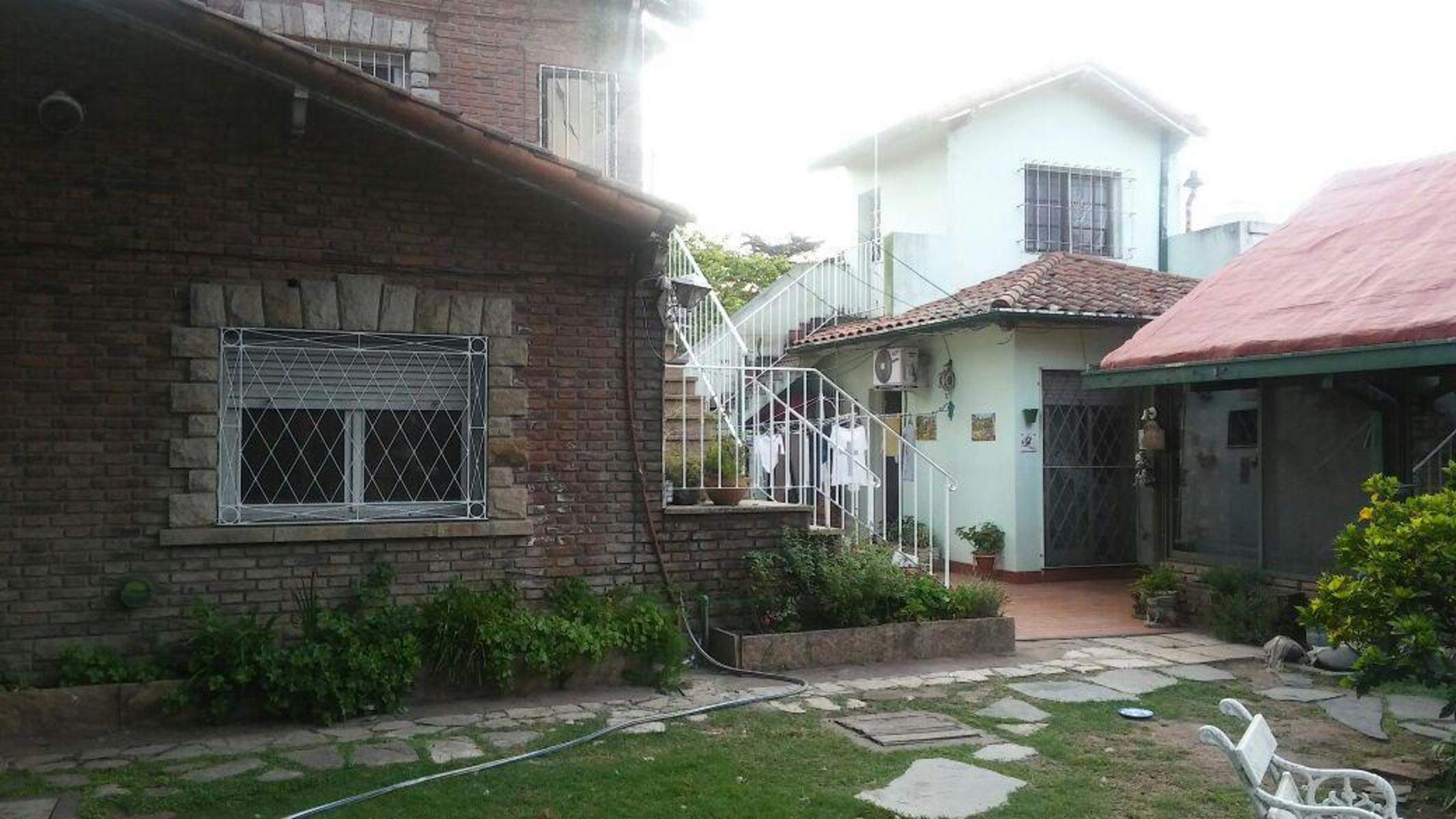 Bolivia 532 · Tigre — foto 15