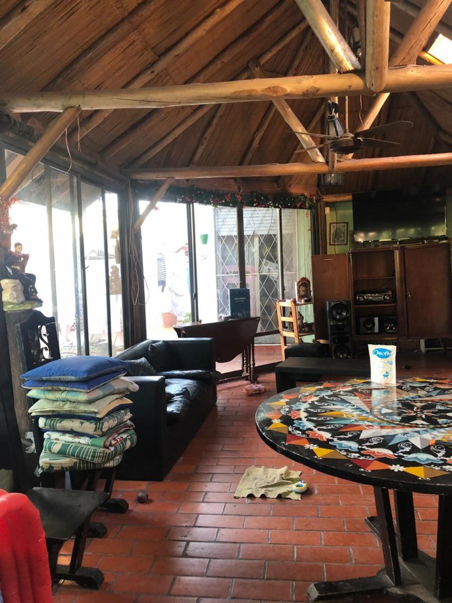 Bolivia 532 · Tigre — foto 23