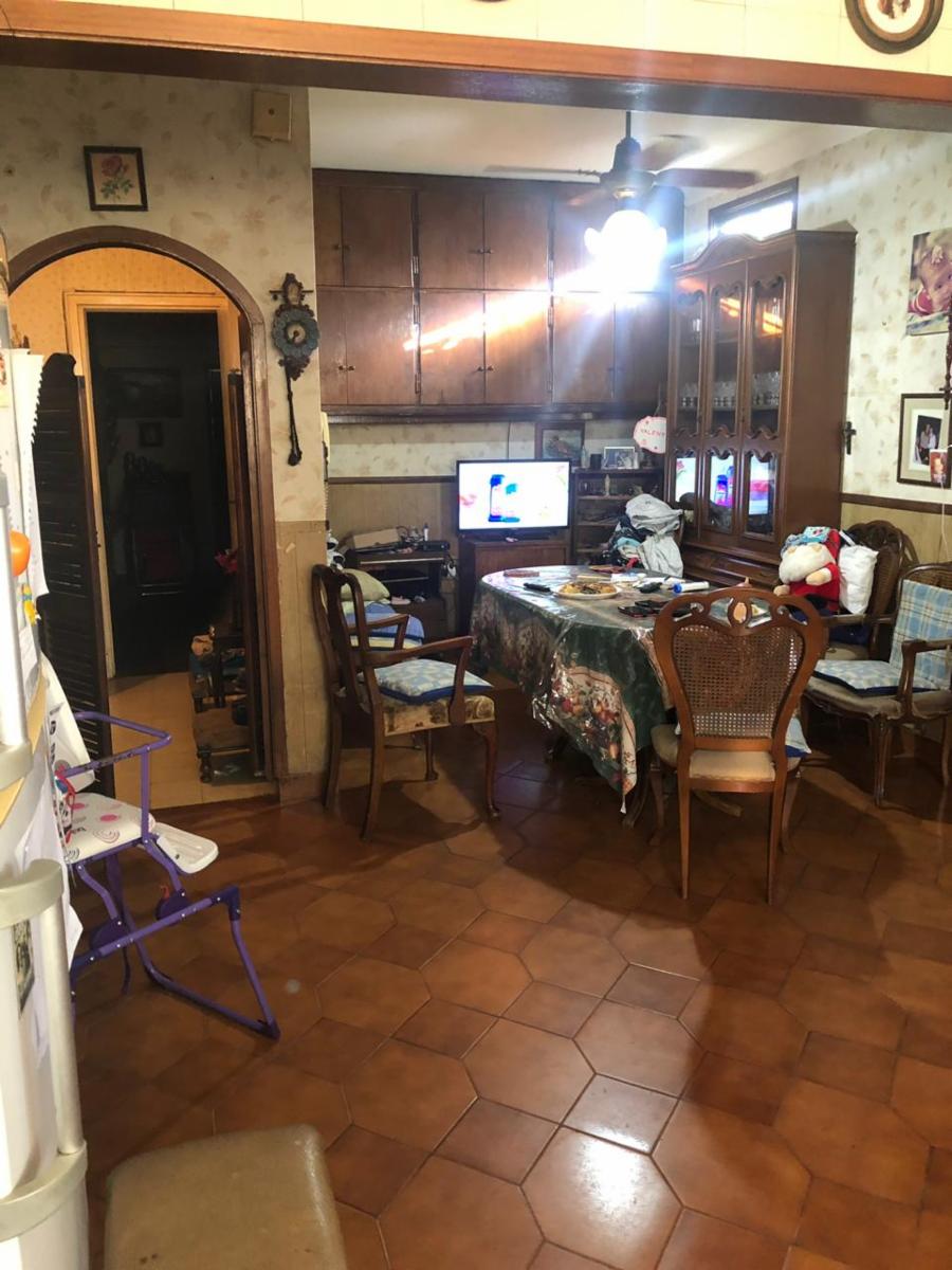 Bolivia 532 · Tigre — foto 25