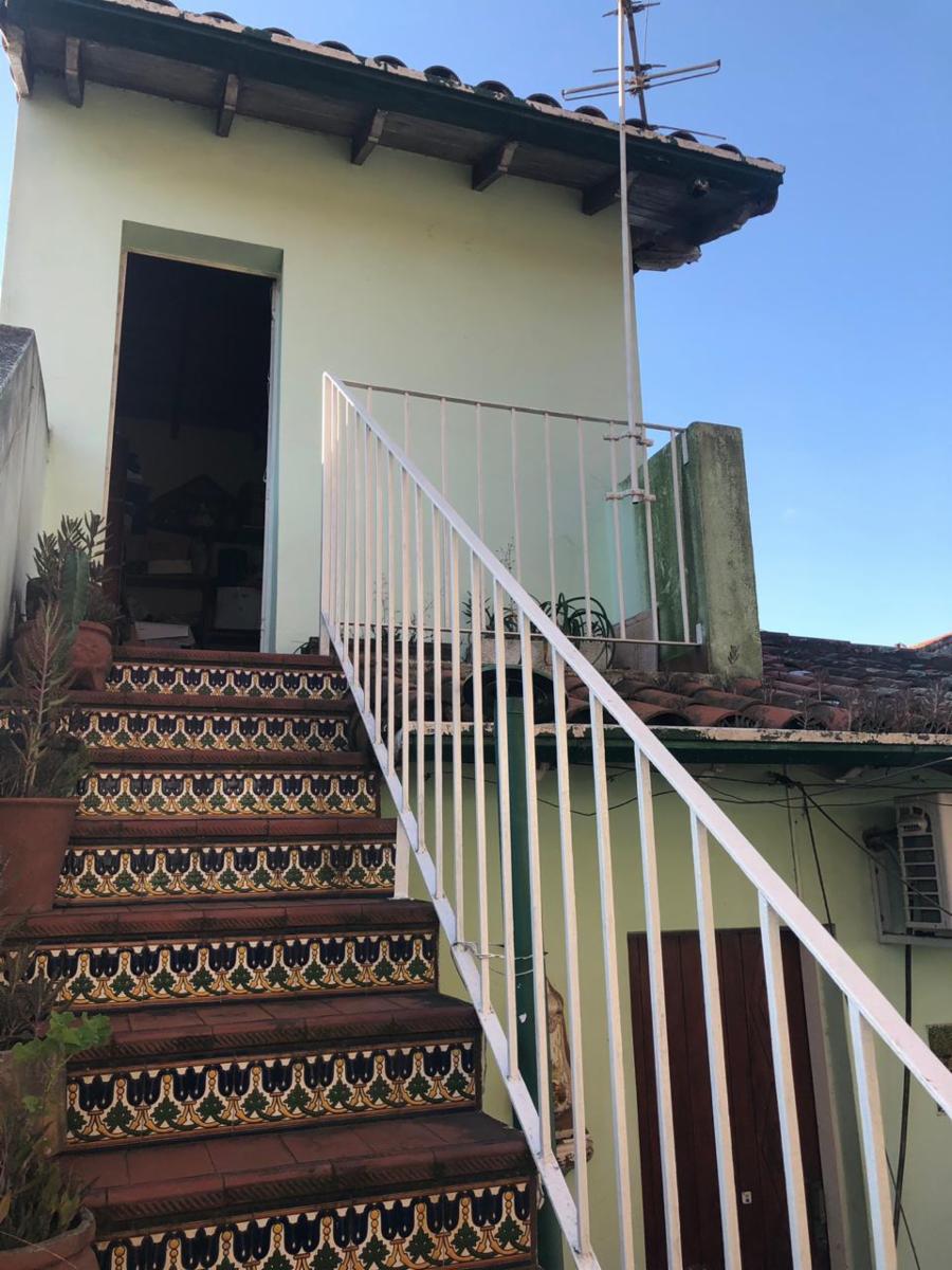 Bolivia 532 · Tigre — foto 29